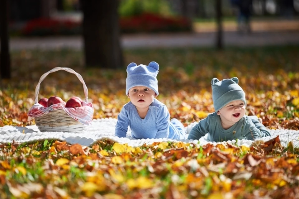 Первой двойней в ЕАО стала «королевская»