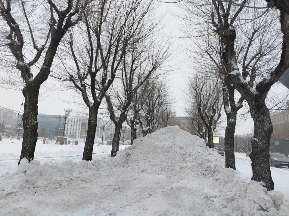 Мэр Хабаровска попросил помощи в уборке снега