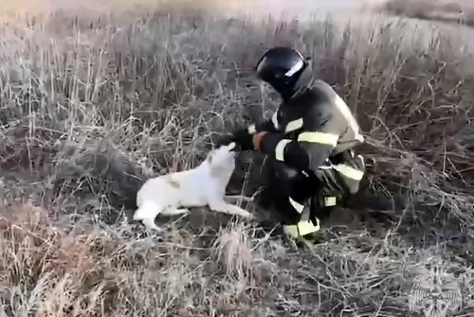 Фото: кадр видео ГУ МЧС России по РСО-Алания.