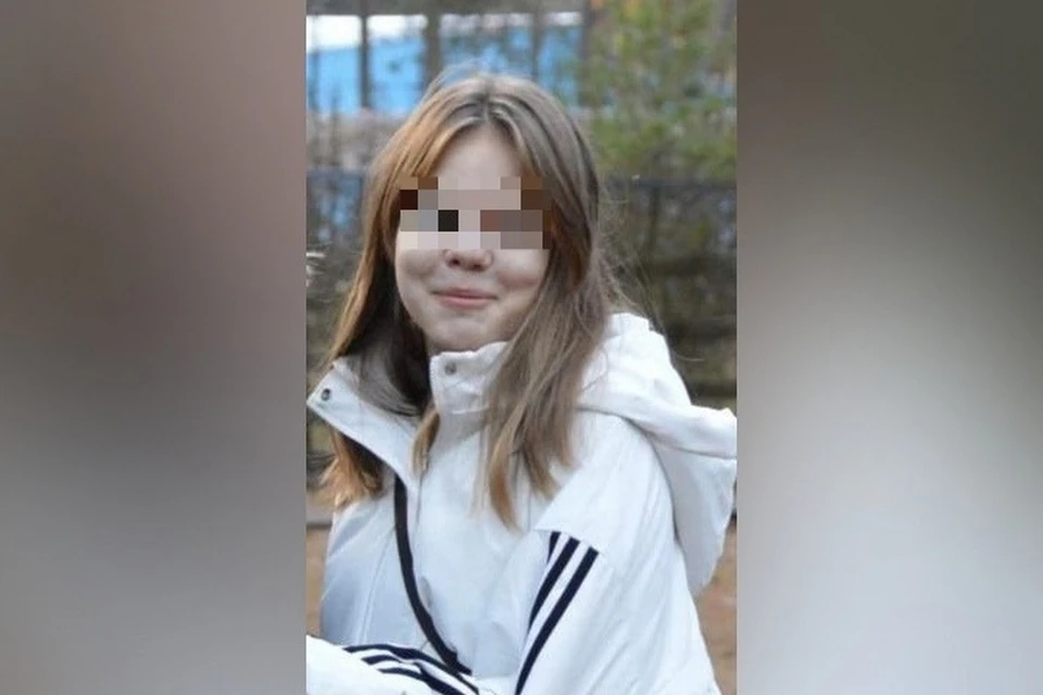 Пропавшую 13-летнюю девочку нашли спустя сутки поисков. Фото: «ЛизаАлерт»