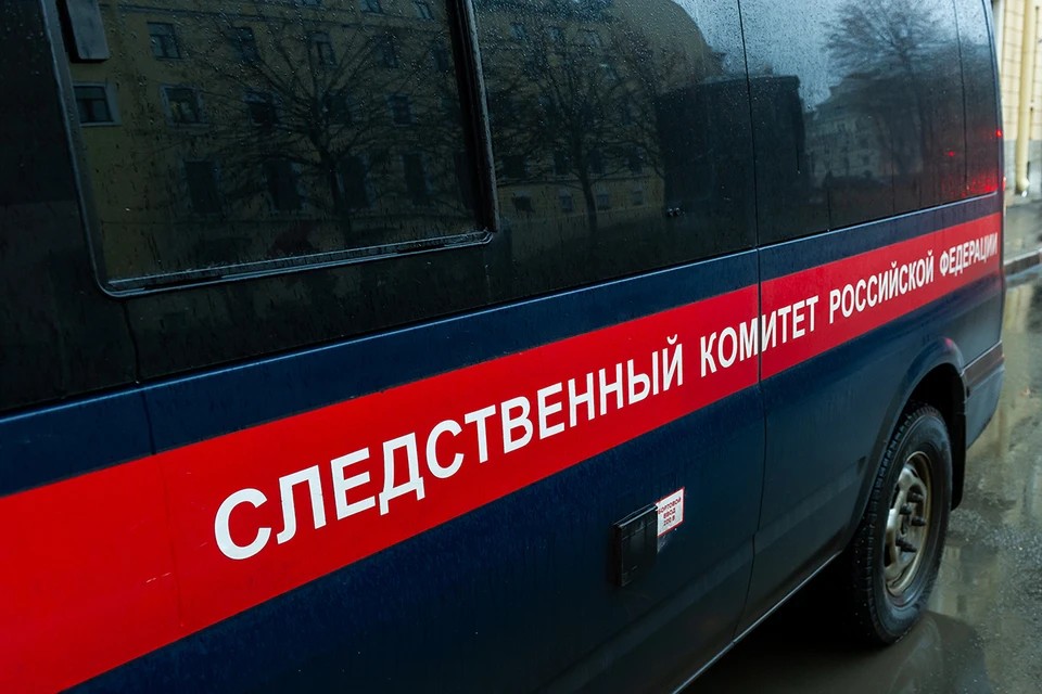 В подмосковном Щелкове задержали четырех человек, которых подозревают в торговле новорожденным.