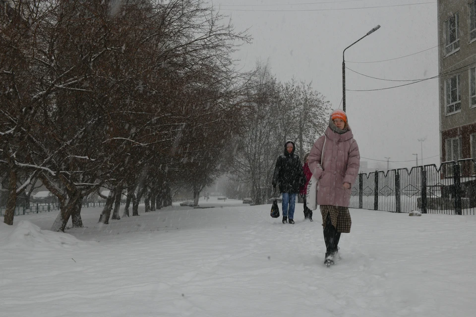 Весна в Новосибирске начнется с похолодания и снегопада.