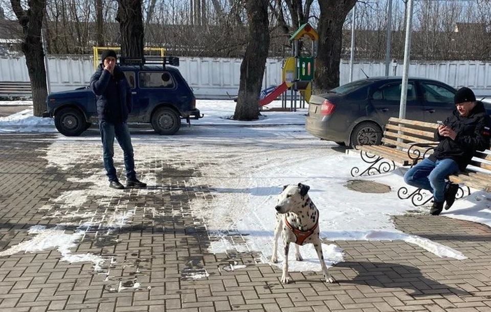 В ПВР Волновахи проживает более 70 беженцев, многие эвакуированы вместе с питомцами