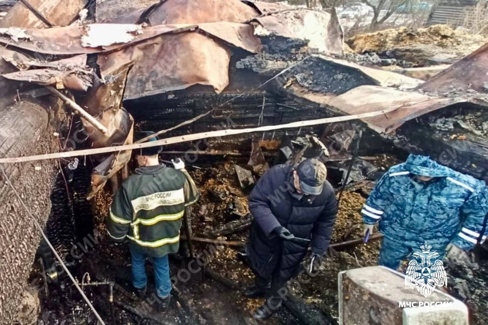 На пожаре погиб подросток. Фото: ГУ МЧС России по Тверской области
