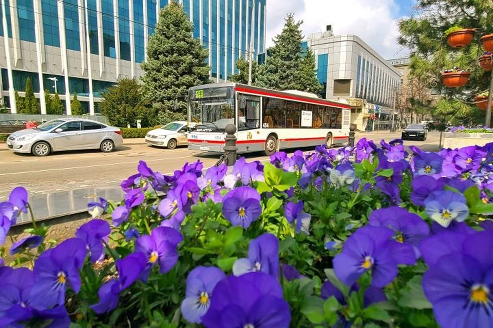 В Краснодарский край придет потепление