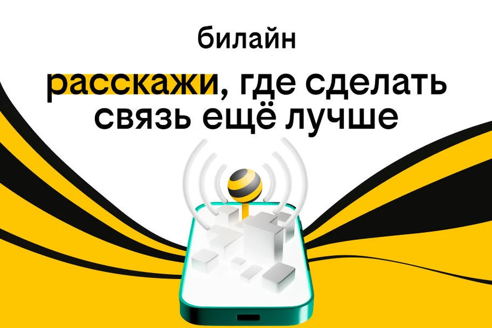 Фото: предоставлено пресс-службой билайна.