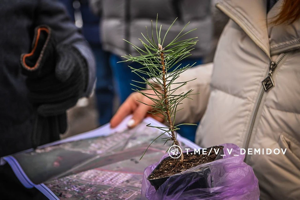 Фото: @v_v_demidov