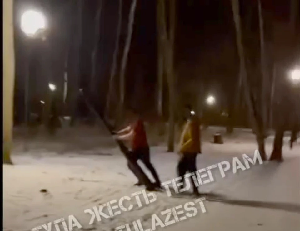 Пойманы сломавшие фонарь в Щекино Тульской области подростки. Фото: "Тула Жесть".