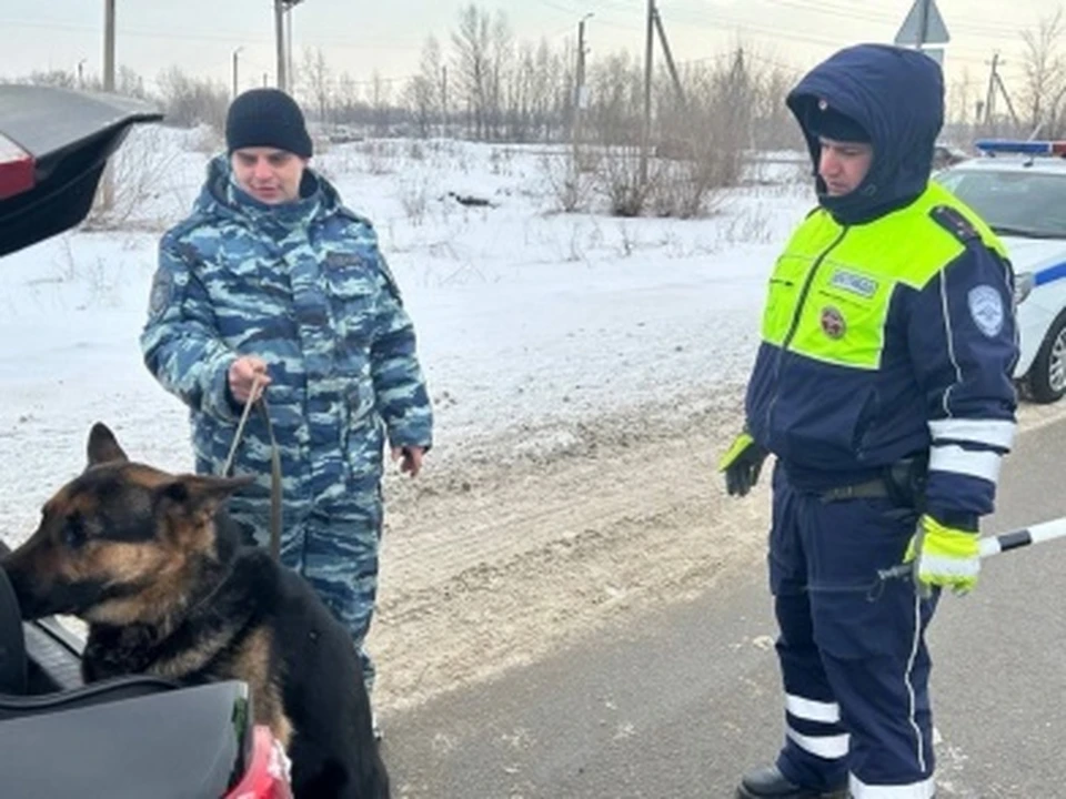 Сотрудники полиции провели рейды. Фото: ГУ МВД России по региону
