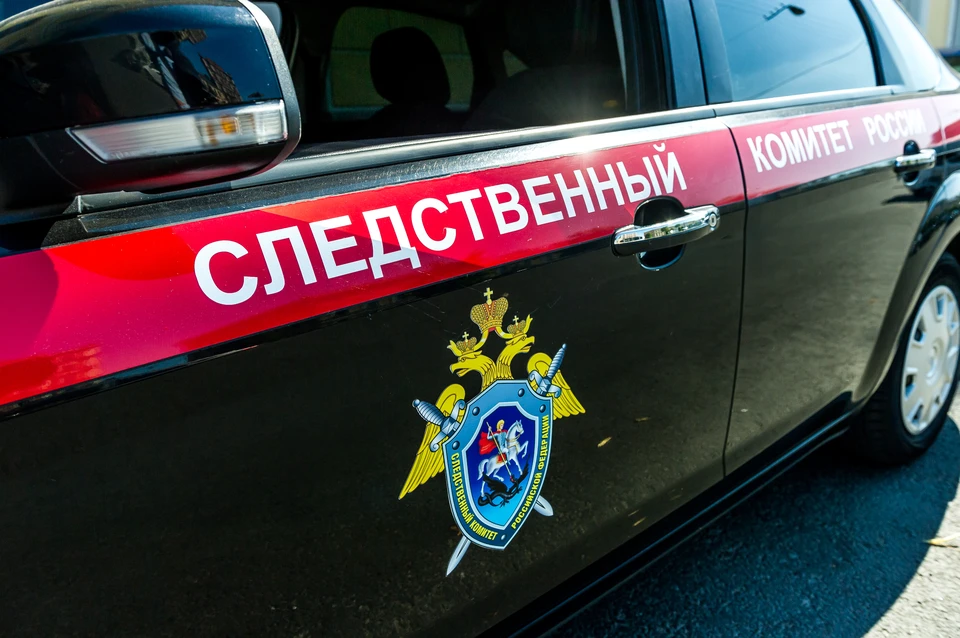 Следователи предъявили обвинение мужчине, которого подозревают в убийстве знакомого в Мурино.