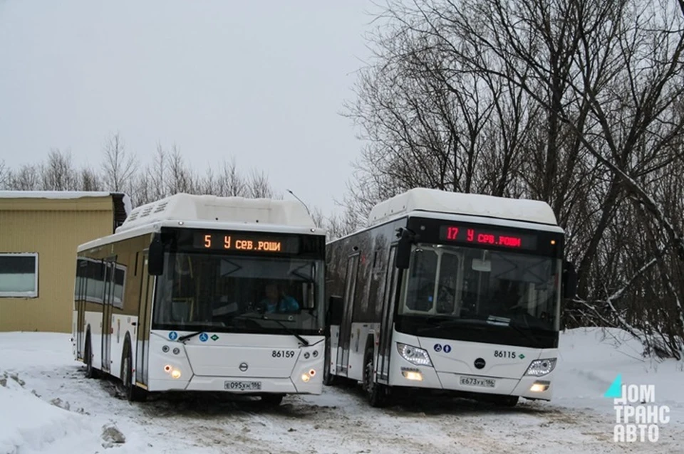 Фото: тг-канал Домтрансавто Нижневартовск