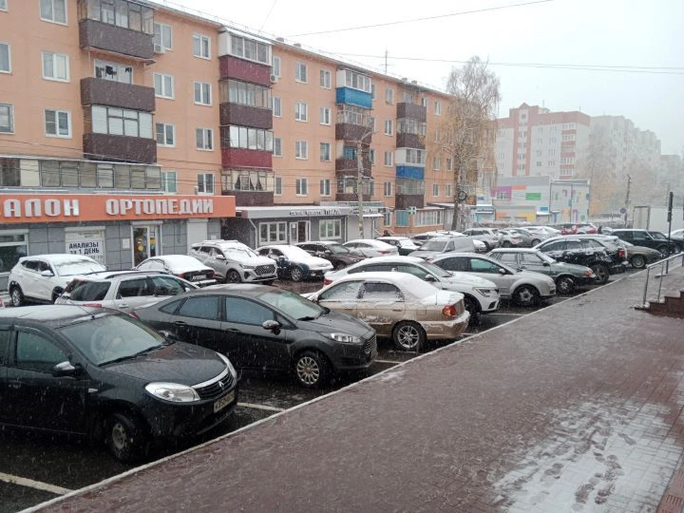 В Курской области прогнозируют резкое потепление