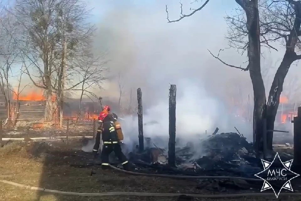 Пожары в деревнях охватили Беларусь из-за палов растительности. Фото: стоп-кадр | видео МЧС.