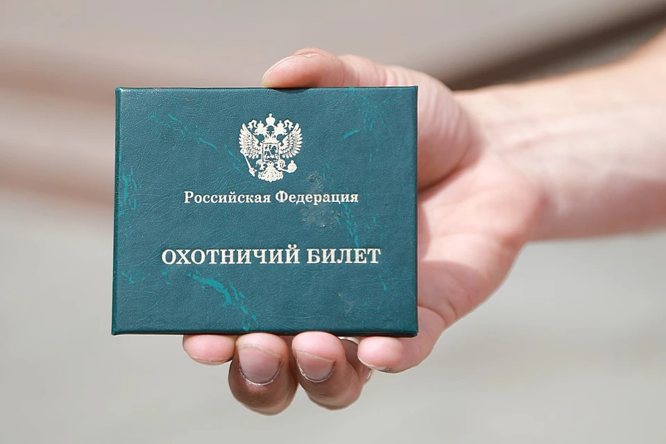 Рассказываем, что известно о новом экзамене для получения охотничьего билета в крае