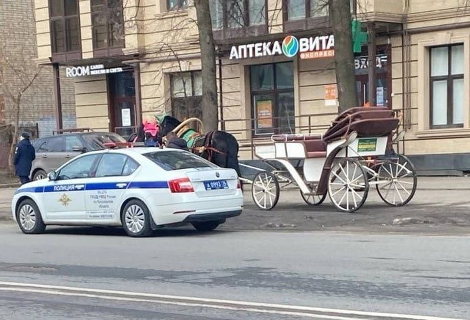 Сотрудники ГИБДД остановили карету, запряжённую лошадьми, за нарушение ПДД. Фото: "Подслушано в Ярославле"