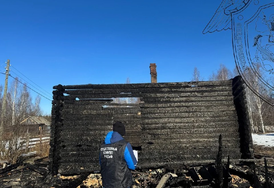Фото: пресс-служба СУ СК России по Костромской области