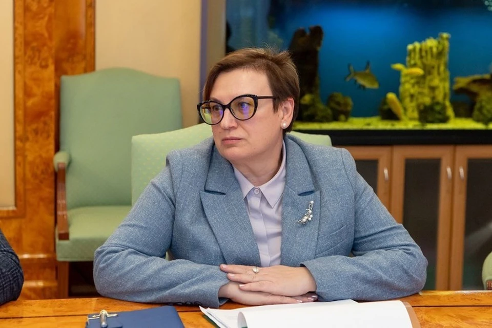 Ростислав Гольдштейн определился с кандидатурой на должность председателя Контрольно-счётной палаты Коми.
