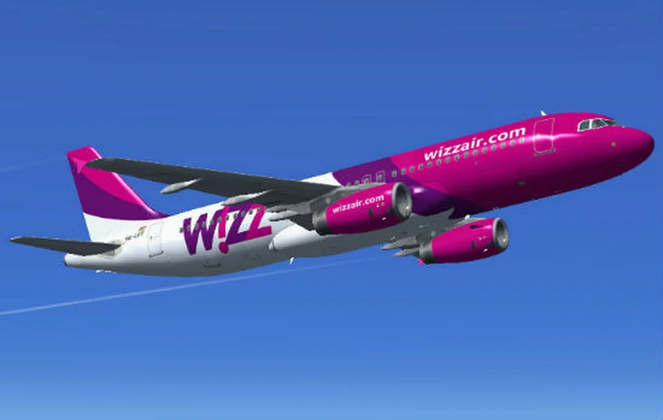 Wizz Air отменяет оплату наличными на борту с 1 апреля. Фото:соцсети