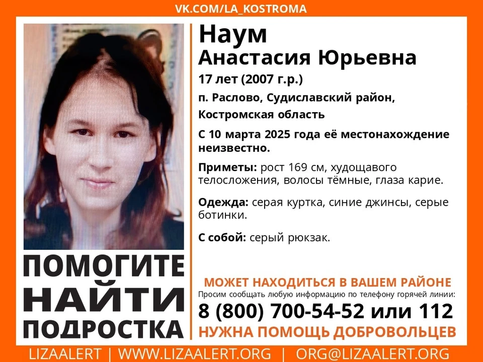 Фото: Поисково-спасательный отряд "Лиза Алерт"
