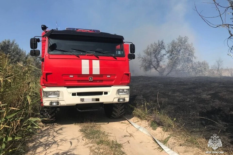 Два природных пожара потушили в регионе. Фото: ГУ МЧС России по Херсонской области