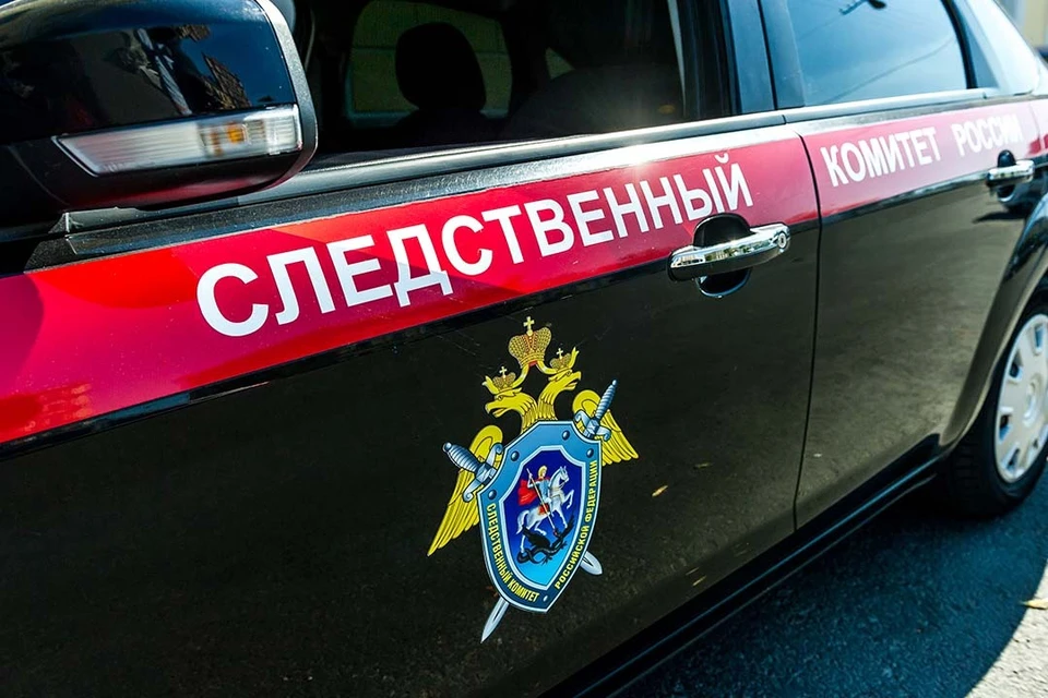 Пару задержали и отправили в СИЗО.