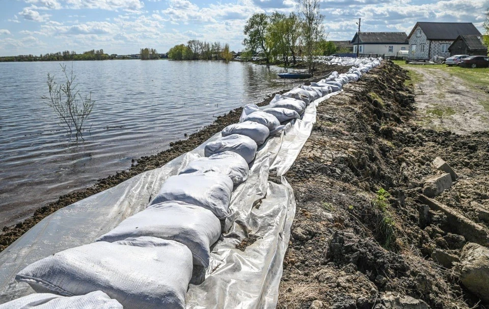 Фото: Информационный центр правительства Тюменской области.
