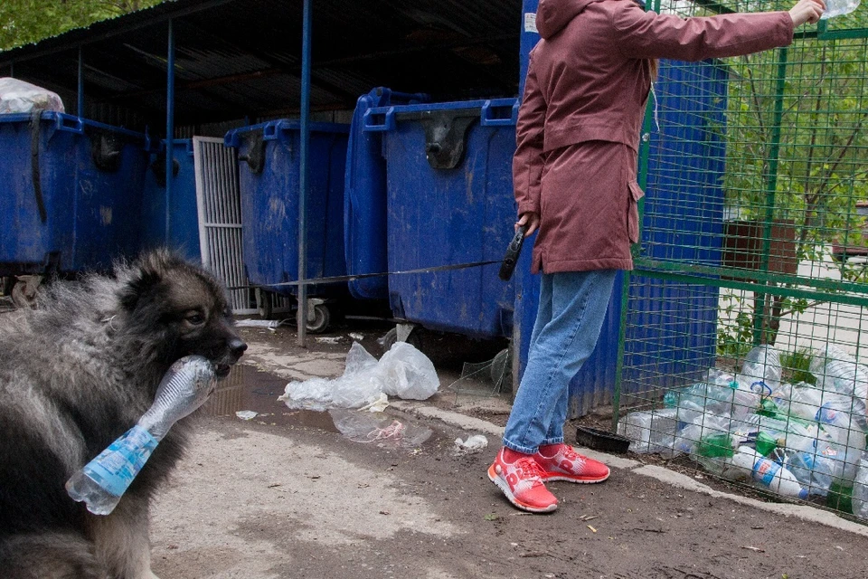 В Новосибирске ищут 246 человек, которые переплатили за вывоз мусора