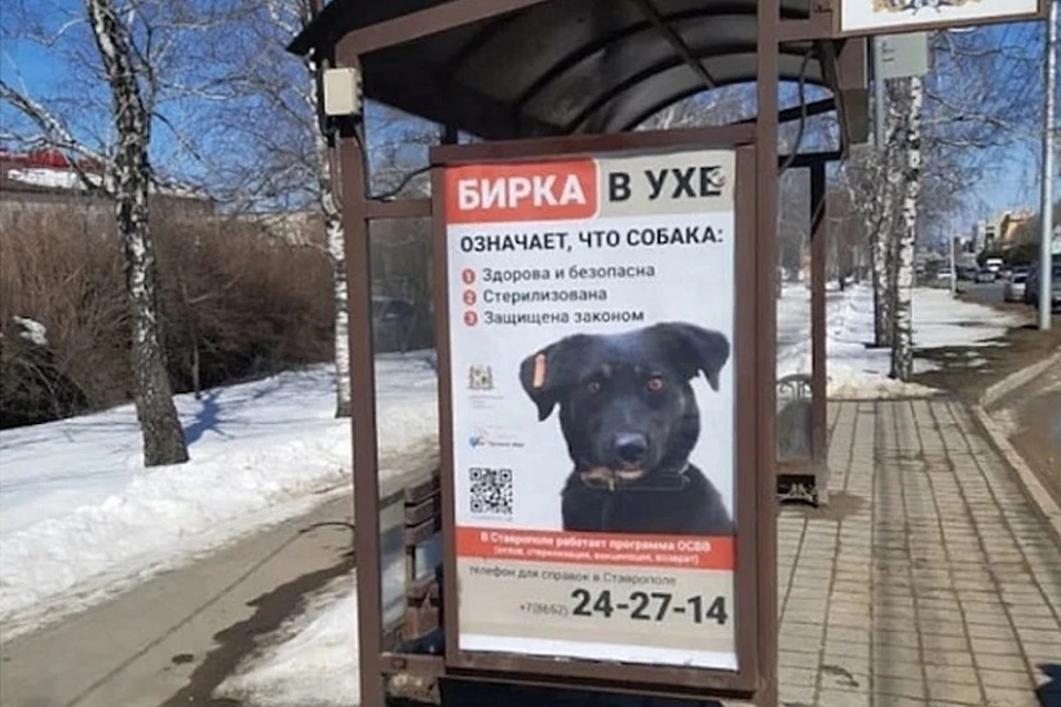Фото: пресс-службы администрации Ставрополя.