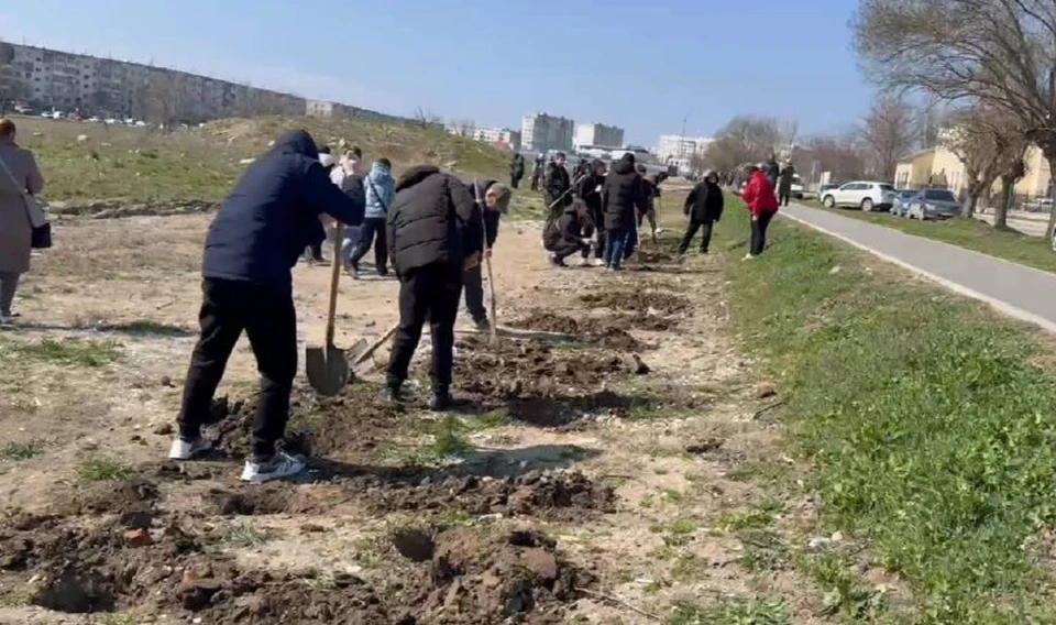 Напротив церкви Святителя Луки высадили деревья. Фото: кадр из видео Олега Каторгина/Tg