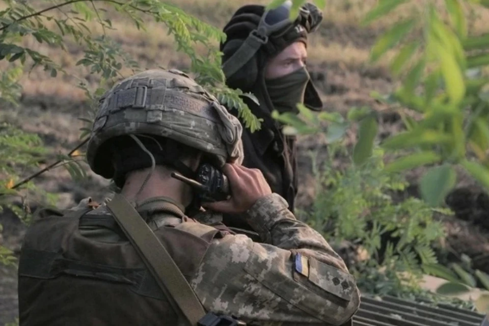 ТАСС: показания пленного боевика ВСУ помогли российским военным выполнить задачу