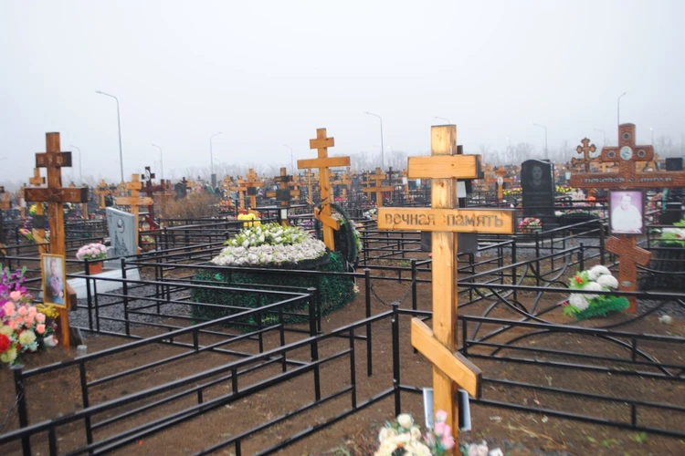 Пять дней провел без еды и воды: В Ростове наследники умершего дедушки отказались от его старого кота