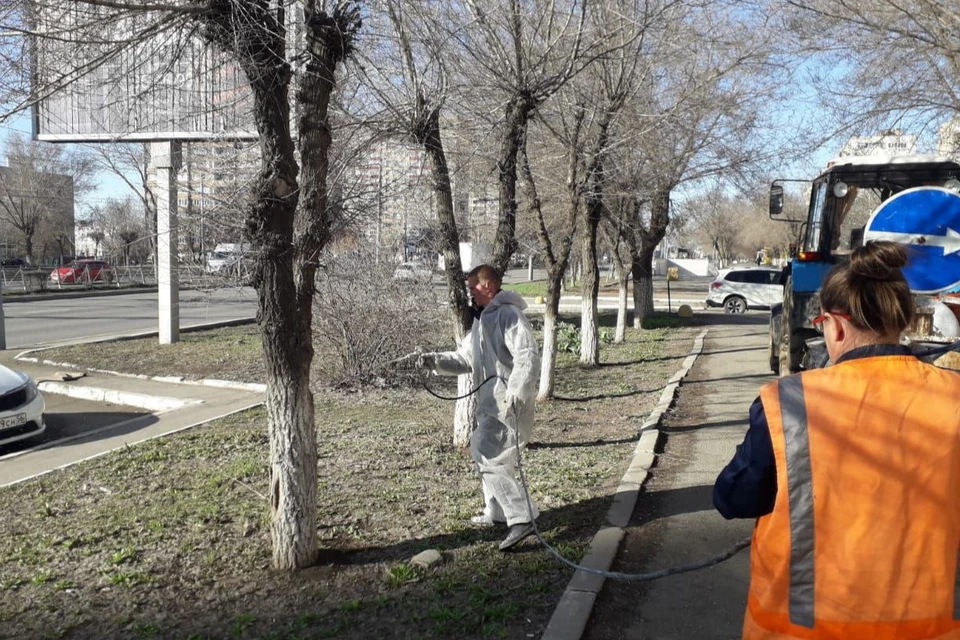 В субботнике участвуют представители предприятий и организаций, управляющих компаний, школьники, студенты и просто неравнодушные жители