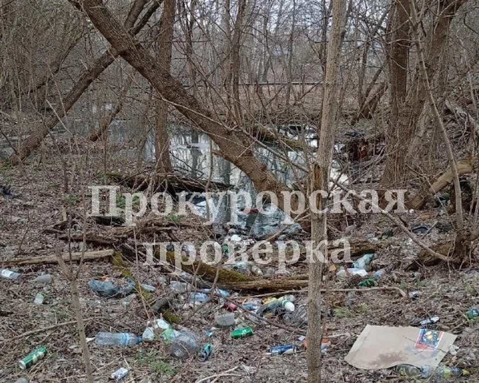 Прокуратура потребовала от местных властей ликвидировать свалку в Щекино Тульской области