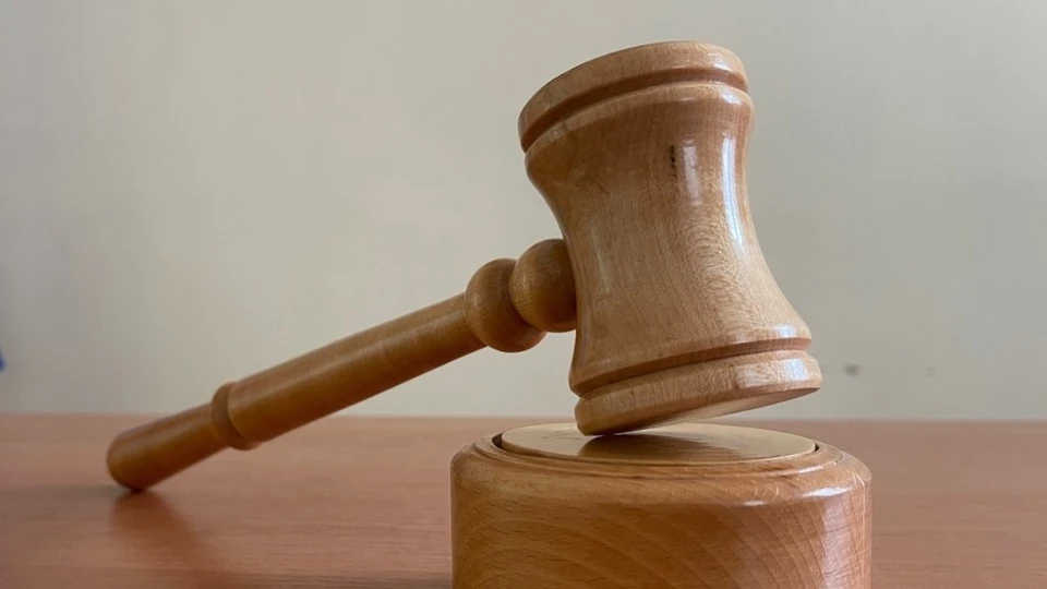 В настоящее время подозреваемые задержаны в порядке ст. 91 УПК РФ