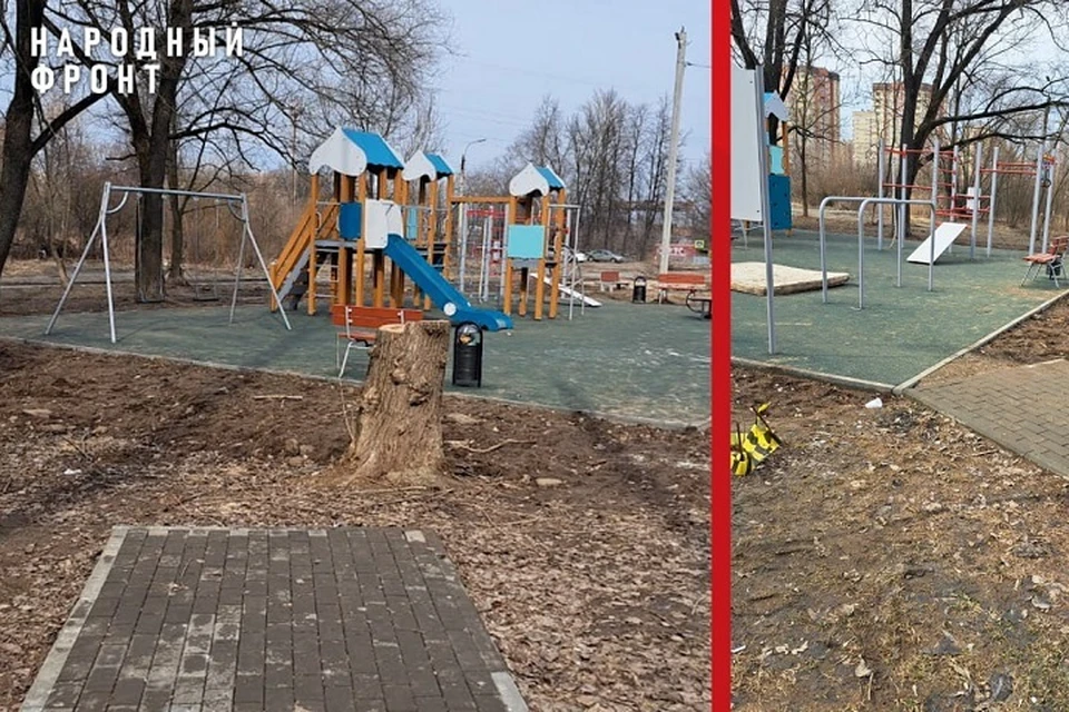 В Ярославле рабочие сделали дорожку, ведущую в пень. ФОТО: ОНФ по Ярославской области