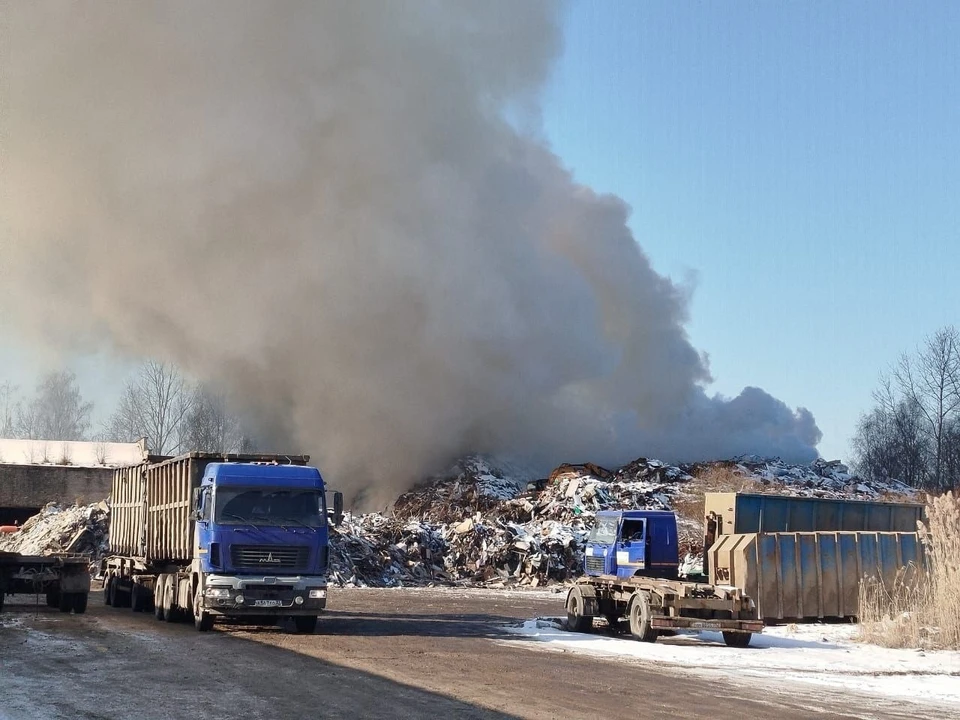 Фото: Прокуратура Владимирской области