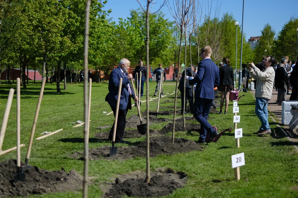 В акции участвуют школьники, студенты, горожане и волонтеры.