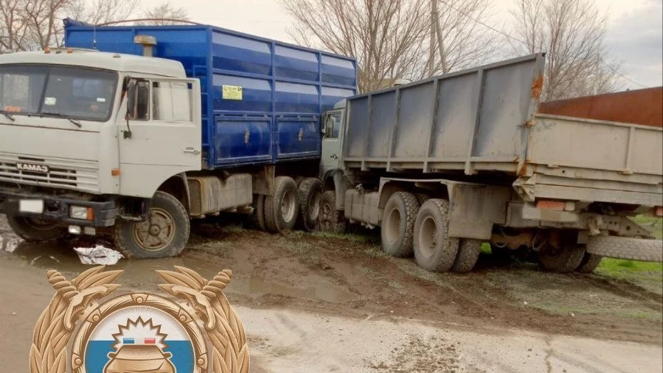 Фото: Госавтоинспекция Саратовской области