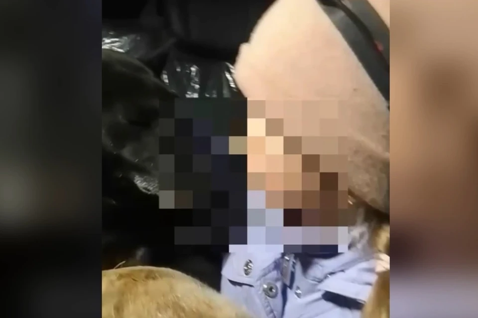 Девочке с двумя собаками полицейские помогли добраться до дома в рязанской глубинке.