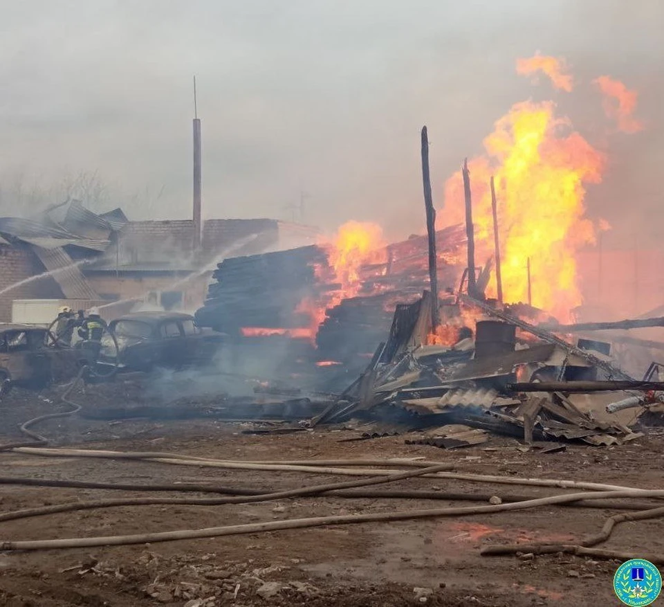 В Ульяновске пожар с сухой травы перешел на близлежащие постройки и автомобили. Фото Управление гражданской защиты Ульяновска
