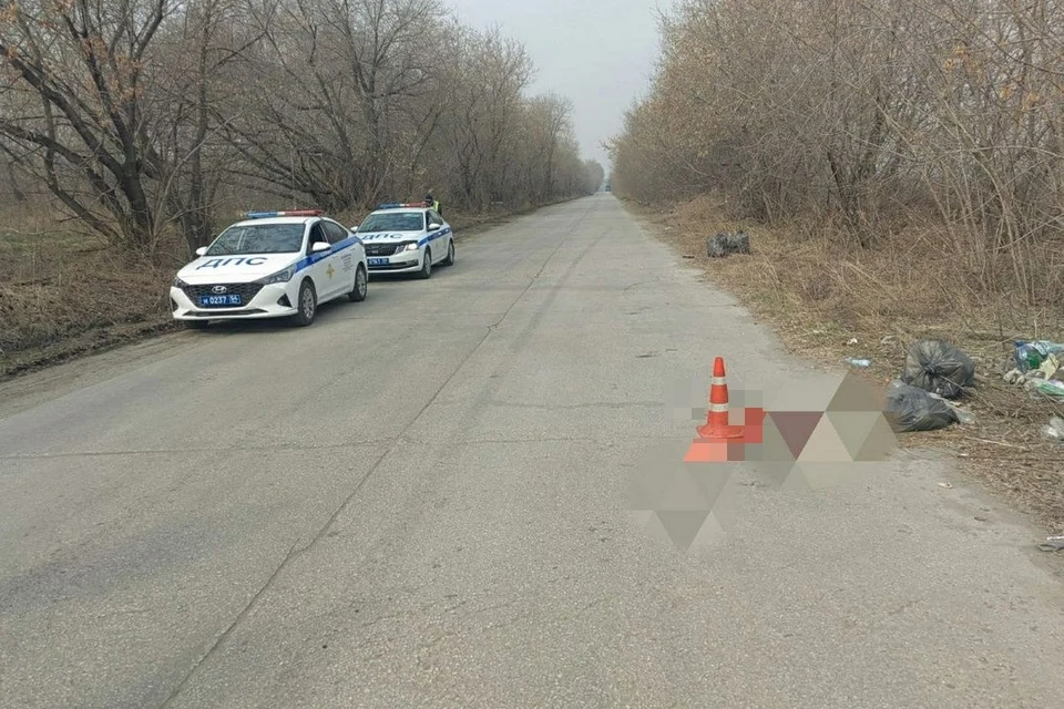 Правоохранители ищут водителя, сбившего пешехода в Новосибирской области. Фото: Госавтоинспекция Новосибирской области