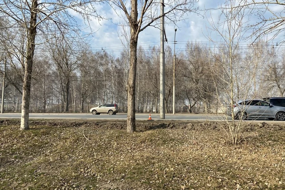 Школьница пострадала, упав с мотоцикла в Новосибирске. Фото: Госавтоинспекция Новосибирской области