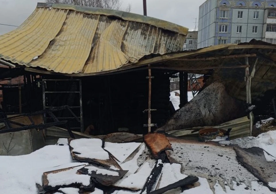Фото: Ольга Егошина