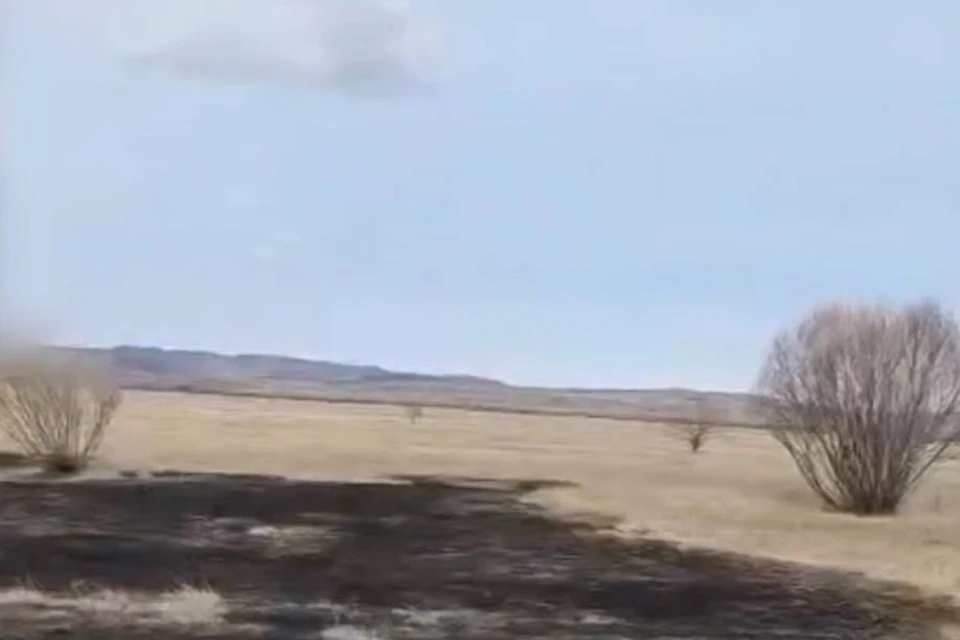 В Забайкалье мужчина поджег поле, испугавшись воя волков. Фото: МВД Забайкалья.