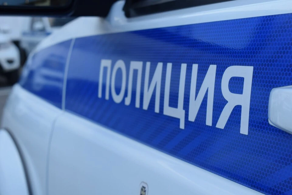 Полиция прибыла на вызов о нарушении тишины, а обнаружила арсенал оружия и агрессивных собак. Фото: МВД Тверской области.
