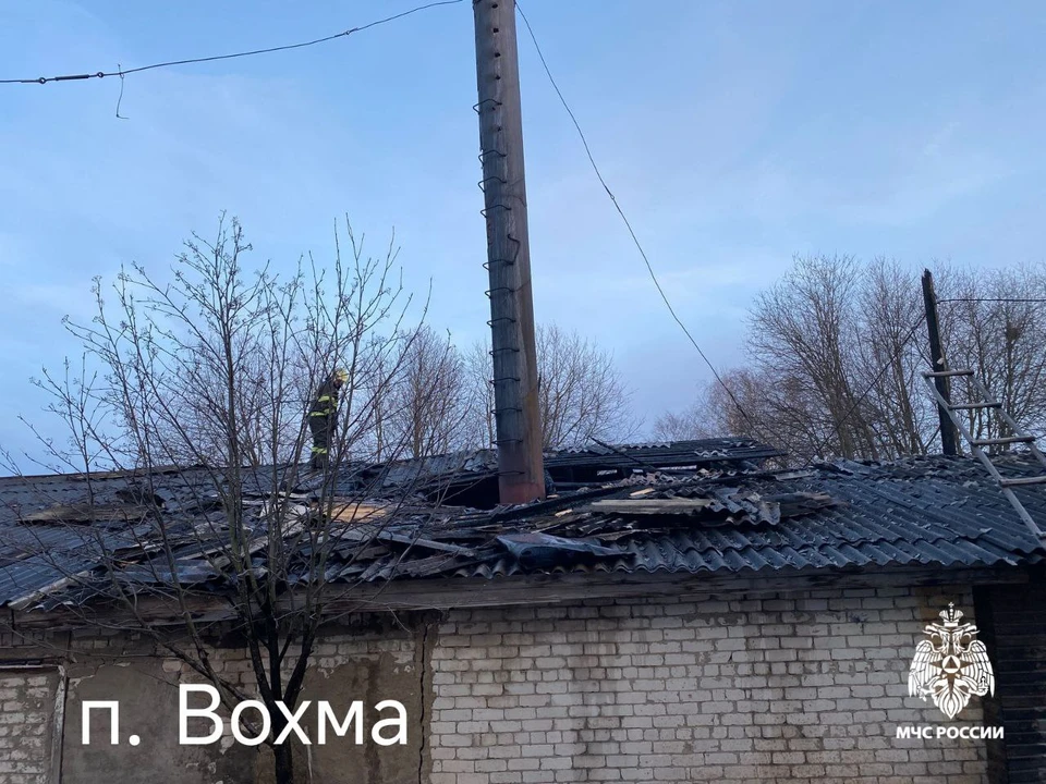 Фото: пресс-служба ГУ МЧС России по Костромской области