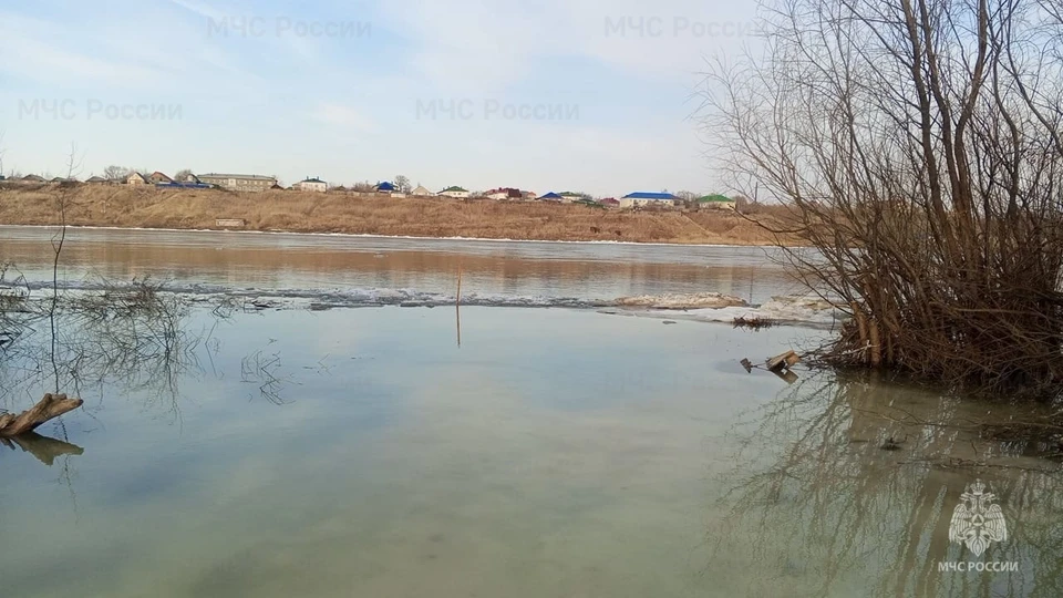 Фото: ГУ МЧС по Омской области