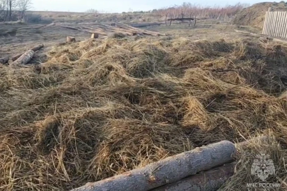 Площадь пожара составила 16 кв.м. Фото: МЧС Удмуртии