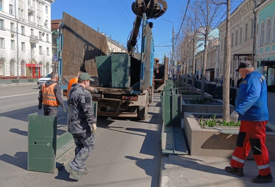 В Туле на проспекте Ленина начали снимать зимнюю защиту с деревьев.