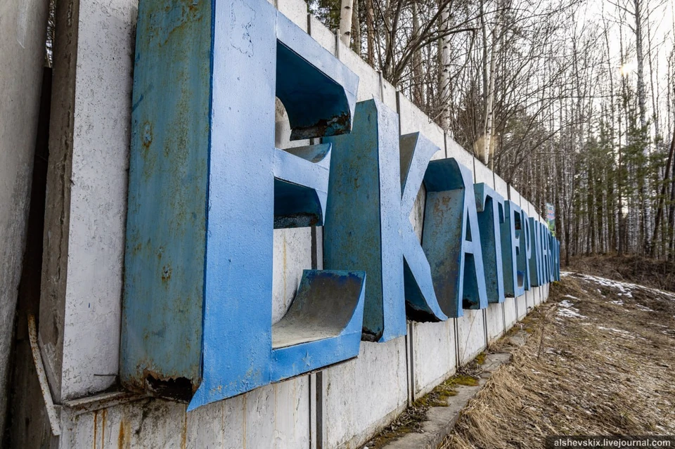 Фото: Telegram-канал "Депутат Андрей Альшевских"